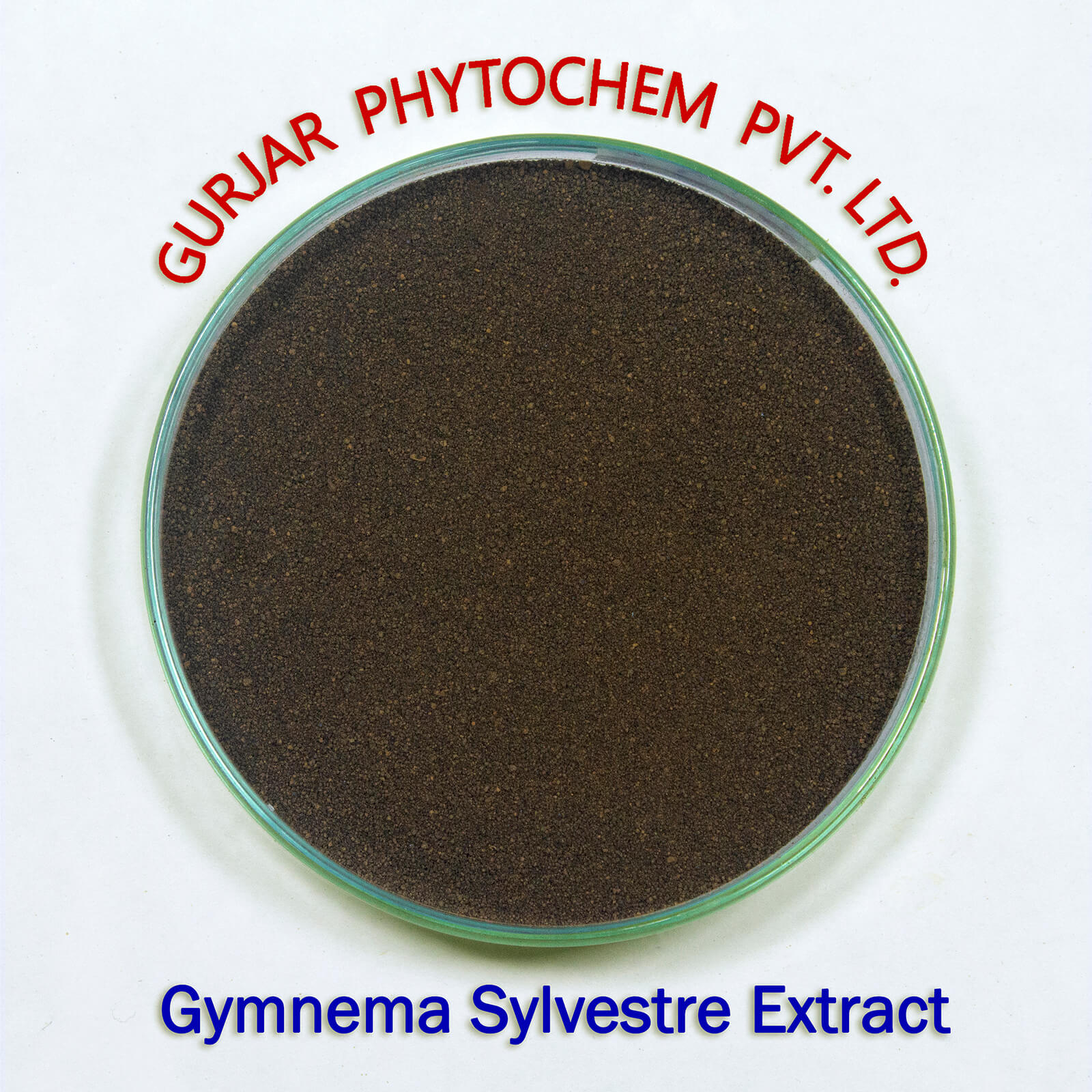 Gymnema Sylvestre Extract