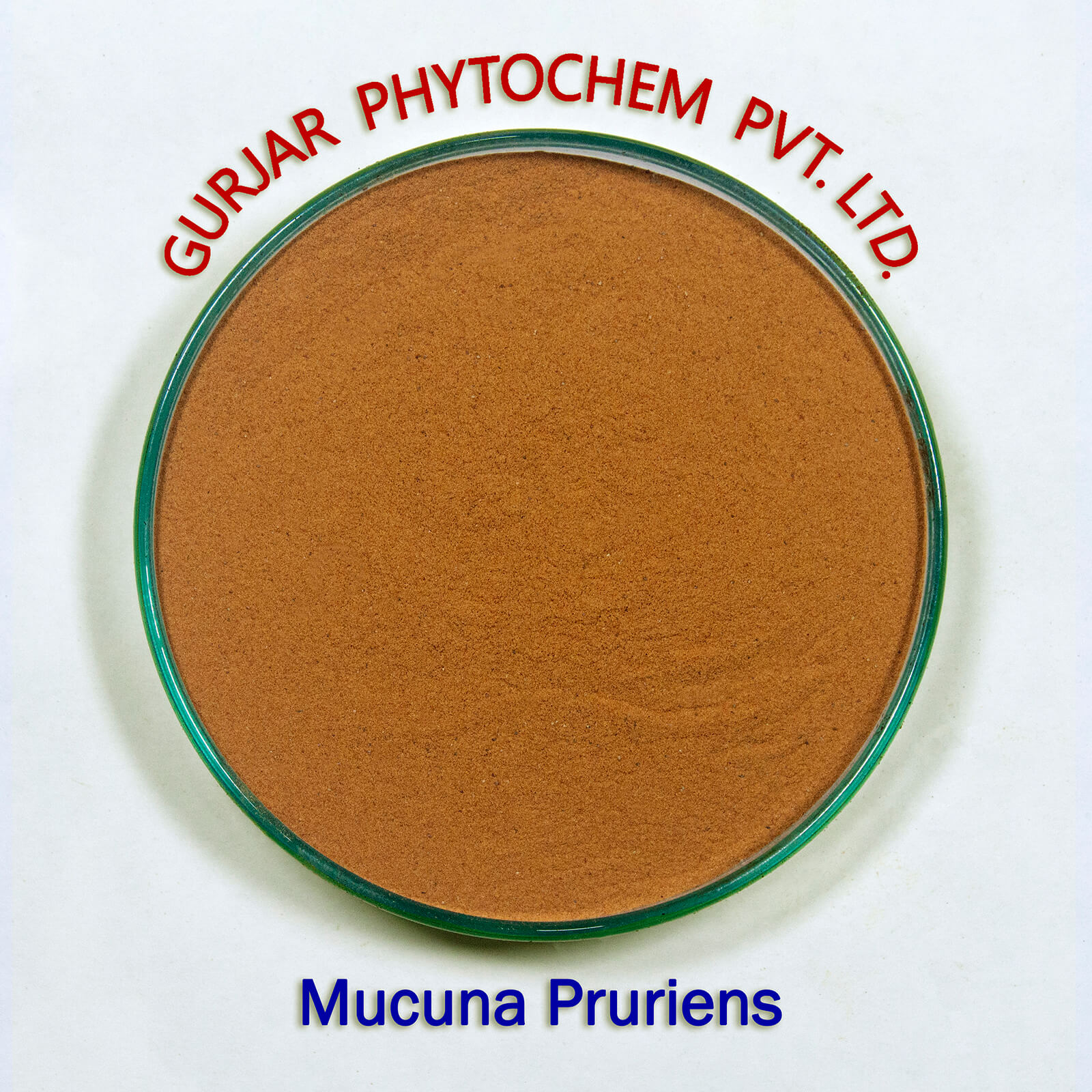 Mucuna Pruriens Extract