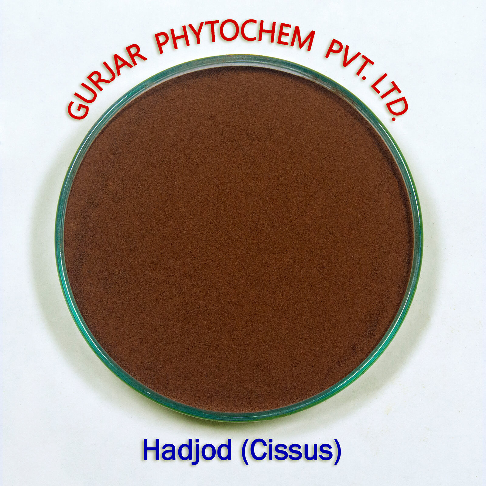 Hadjod Extract