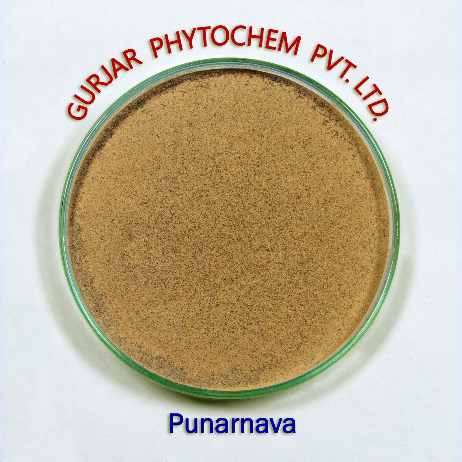 Punarnava Extract